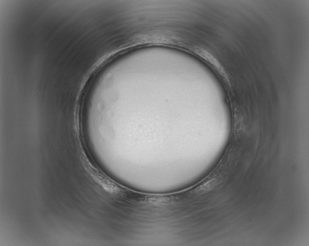 X0000073481035200608281544