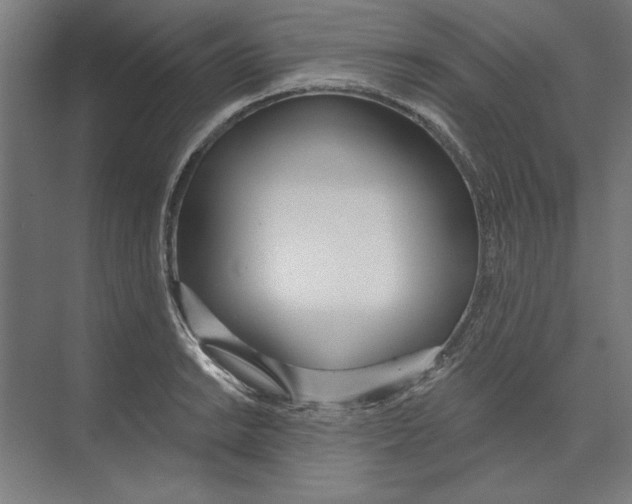 X0000073481038200608281544