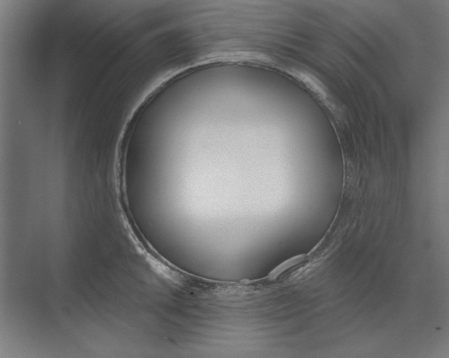 X0000073481046200608281544