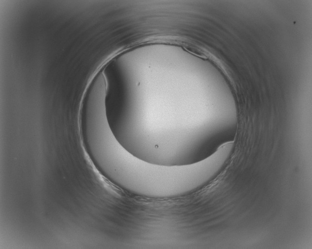 X0000073481050200608281544