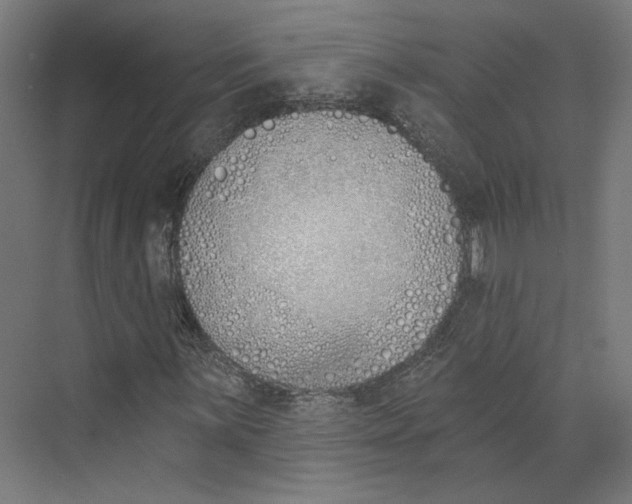X0000073481059200608281544