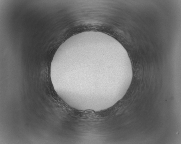 X0000073481061200608281544