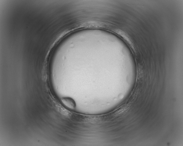 X0000073481075200608281543