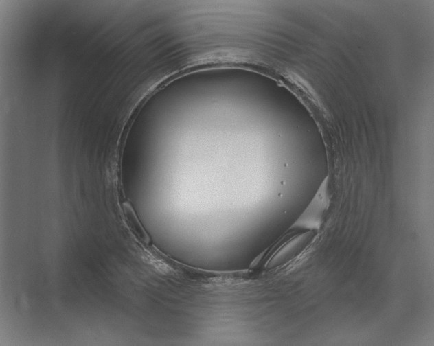 X0000073481081200608281543