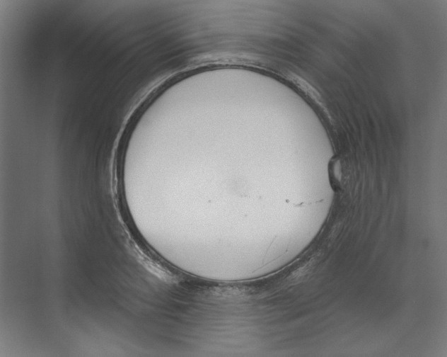 X0000073481082200608281543