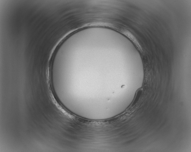 X0000073481092200608281543