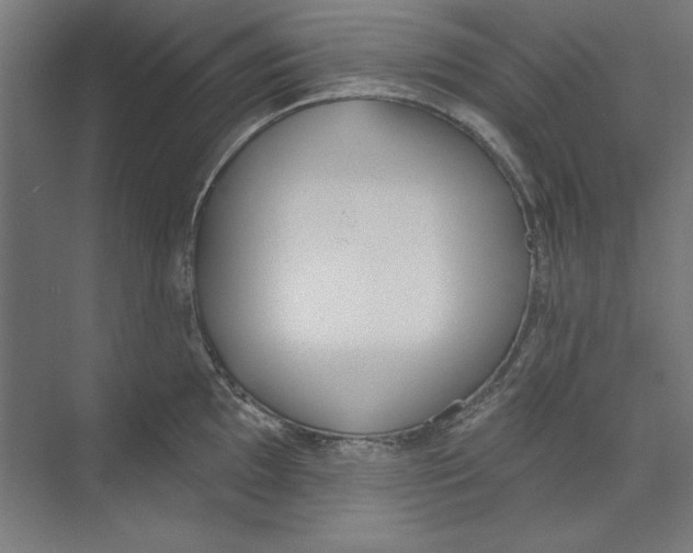 X0000073481097200608281543