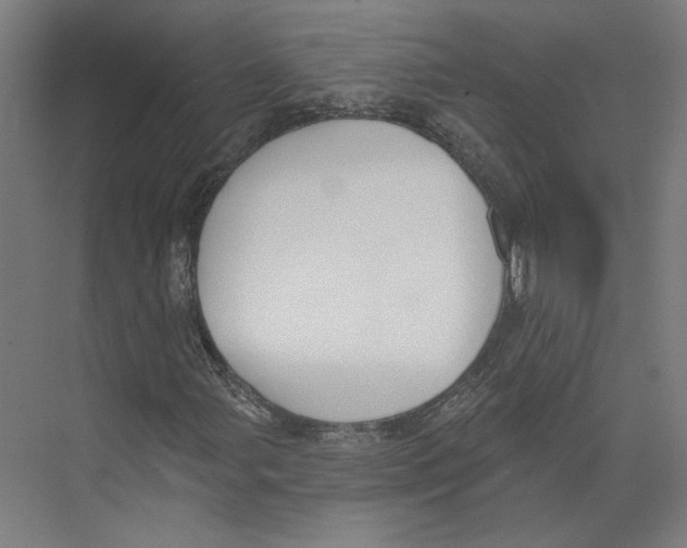 X0000073481107200608281542
