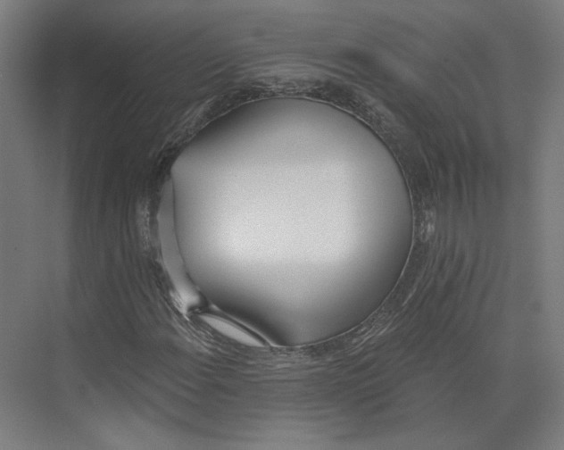 X0000073481108200608281542