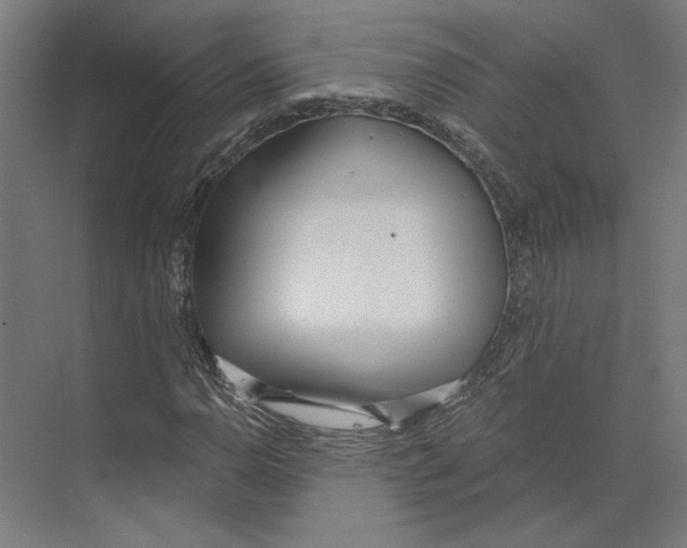 X0000073481110200608281542