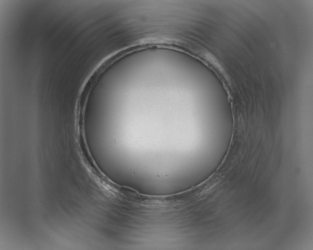 X0000073481124200608281542
