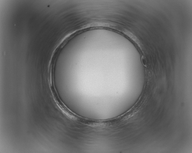 X0000073481127200608281542