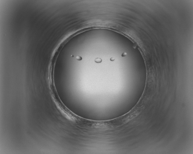 X0000073481128200608281542