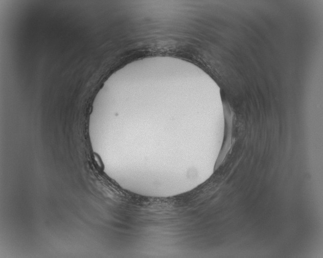 X0000073481153200608281542
