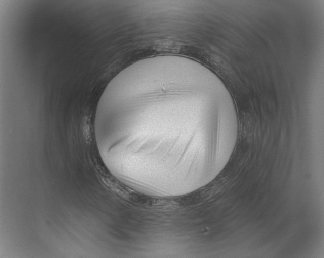 X0000073481154200608281542