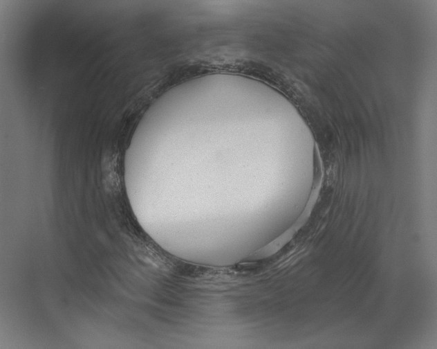 X0000073481156200608281542