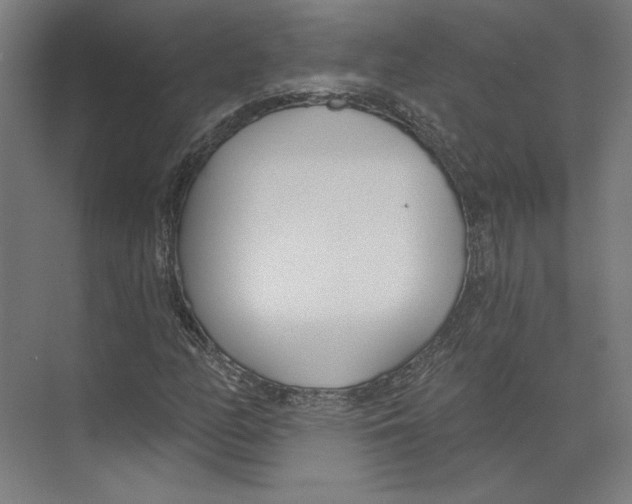 X0000073481158200608281542