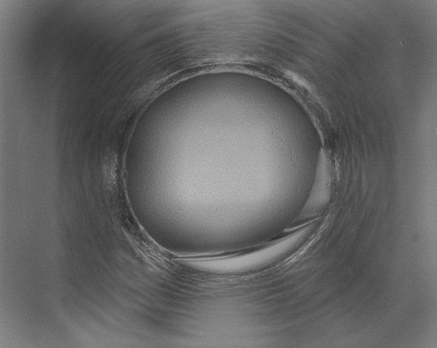 X0000073481161200608281542