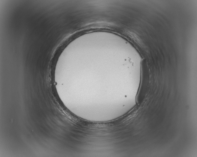 X0000073481164200608281542