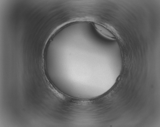 X0000073481184200608281541