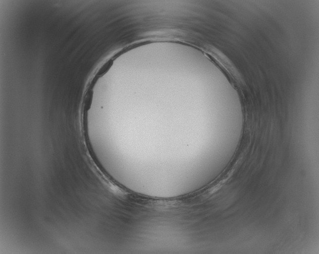 X0000073481196200608281541