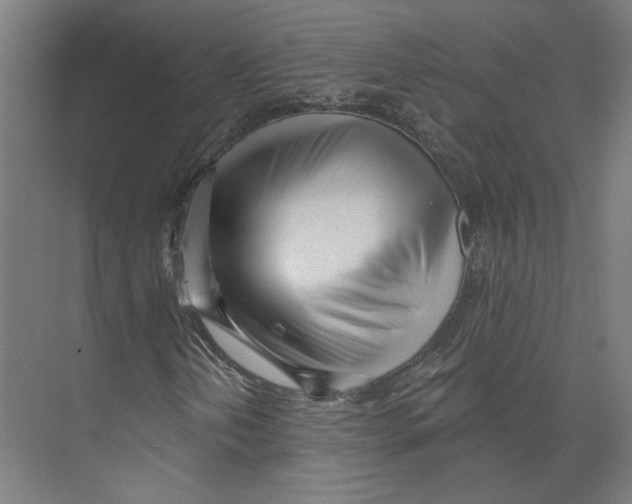 X0000073481202200608281540