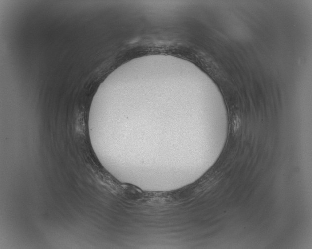 X0000073481204200608281540