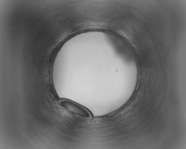 X0000073481211200608281541