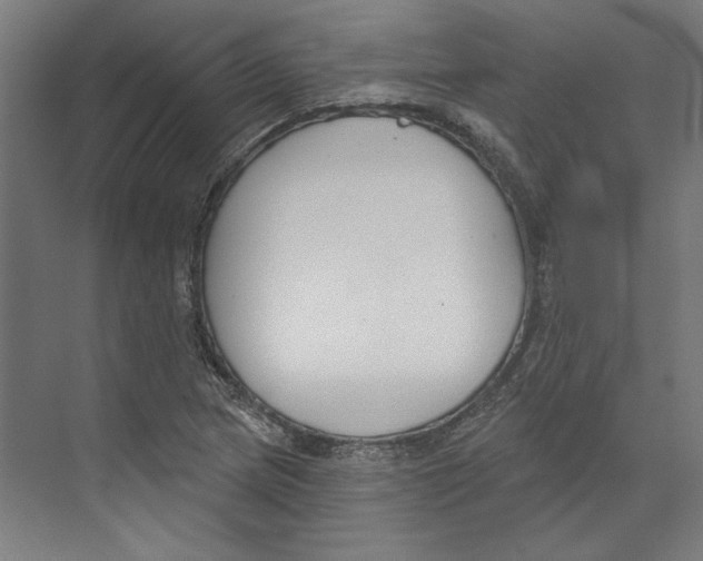 X0000073481217200608281541