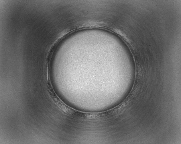 X0000073481219200608281541