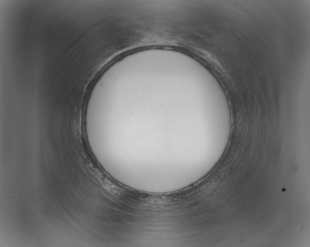 X0000073481220200608281541