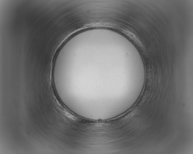 X0000073481228200608281541