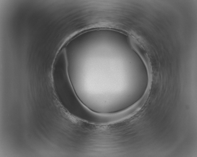 X0000073481230200608281541
