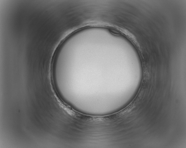 X0000073481231200608281541