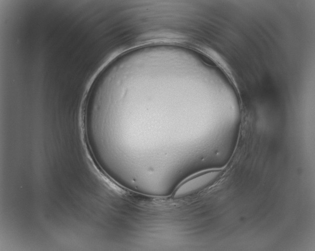 X0000073481243200608281541