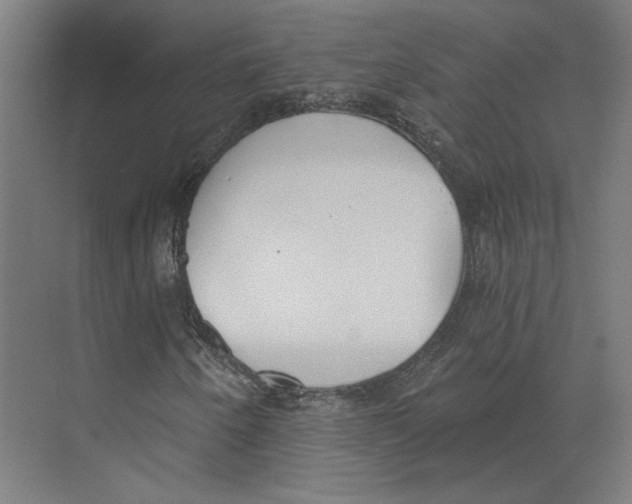X0000073481250200608281540