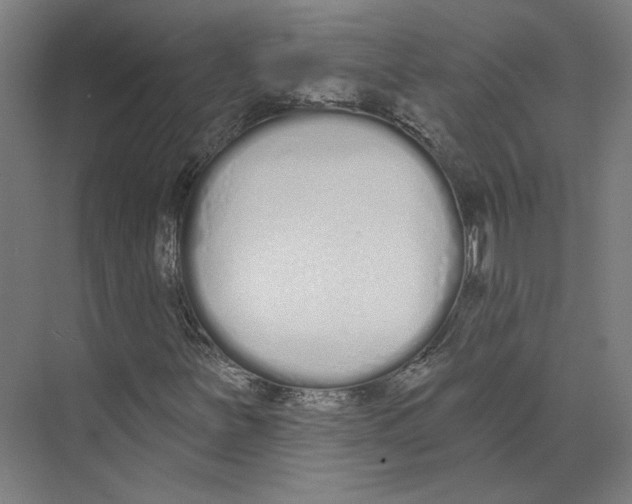 X0000073481251200608281540