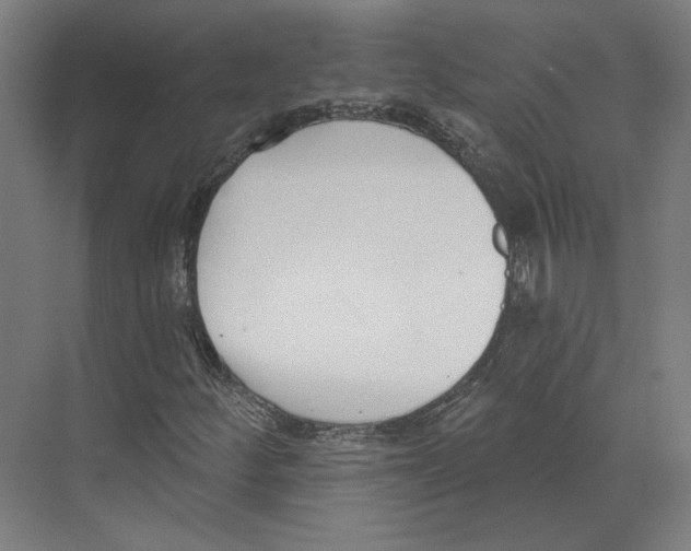 X0000073481252200608281540