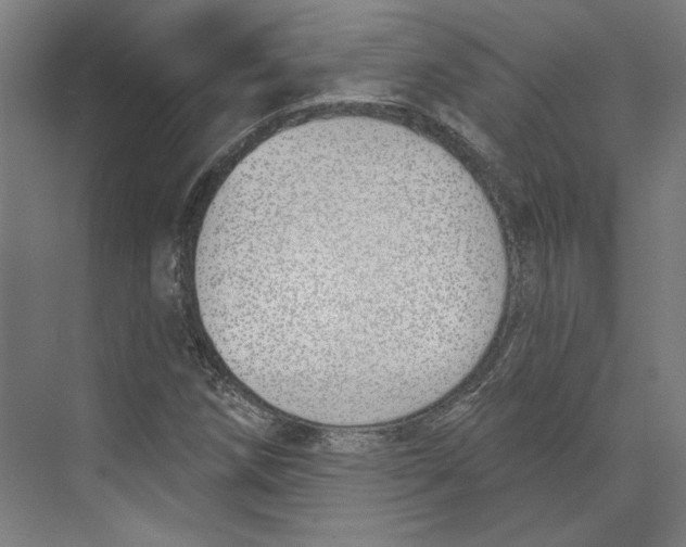 X0000073481258200608281540