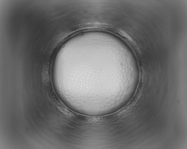 X0000073481259200608281540