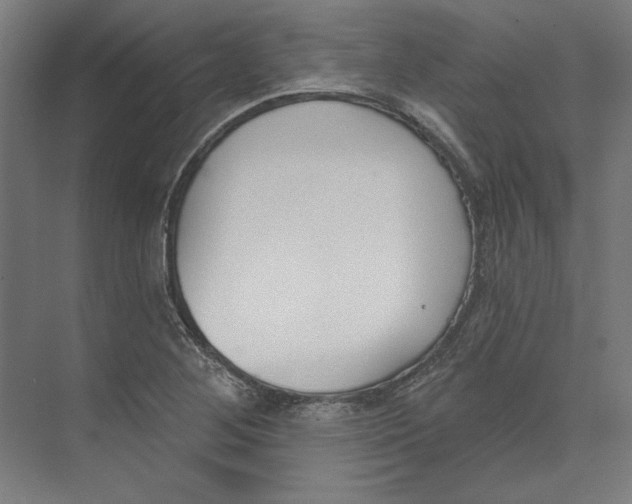 X0000073481268200608281540