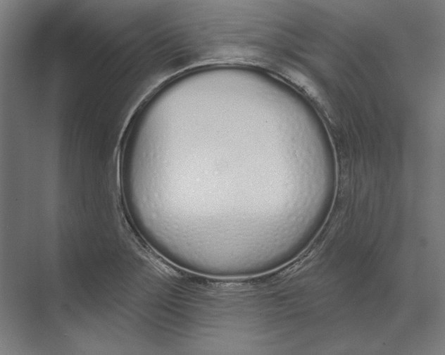 X0000073481275200608281540
