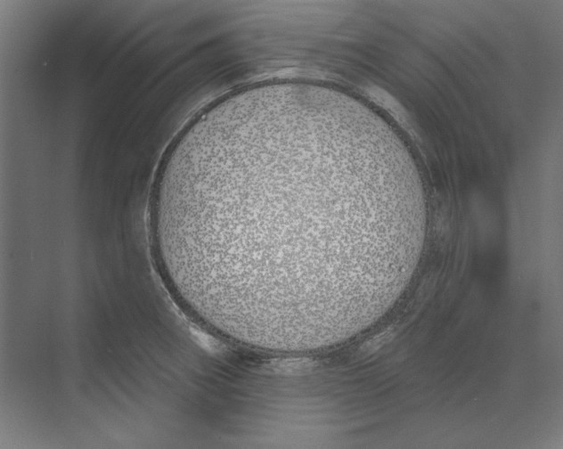 X0000073481282200608281540
