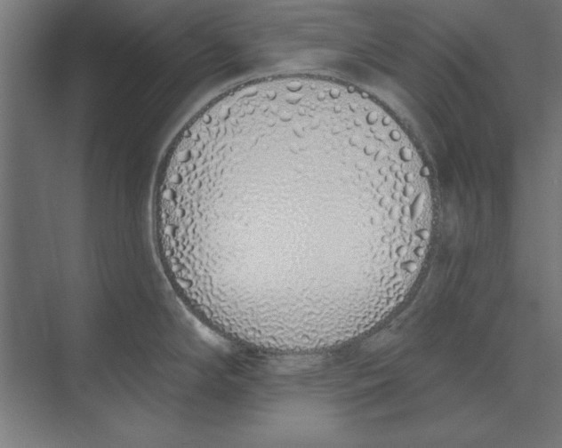 X0000073481294200608281540