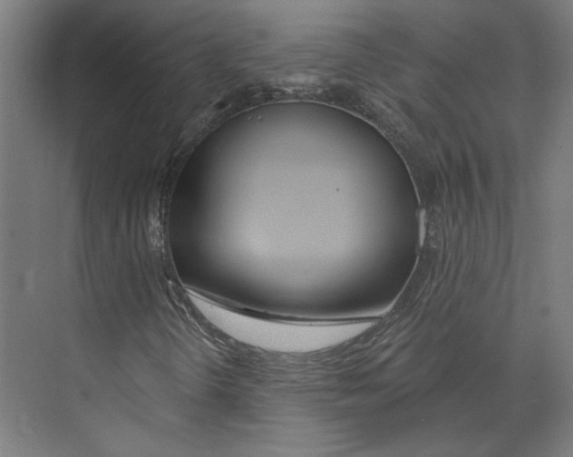 X0000073481298200608281539