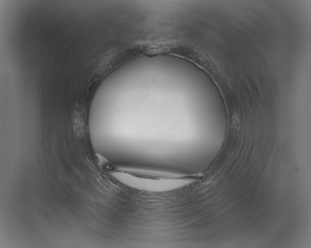 X0000073481300200608281539