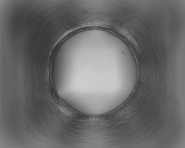 X0000073481316200608281539