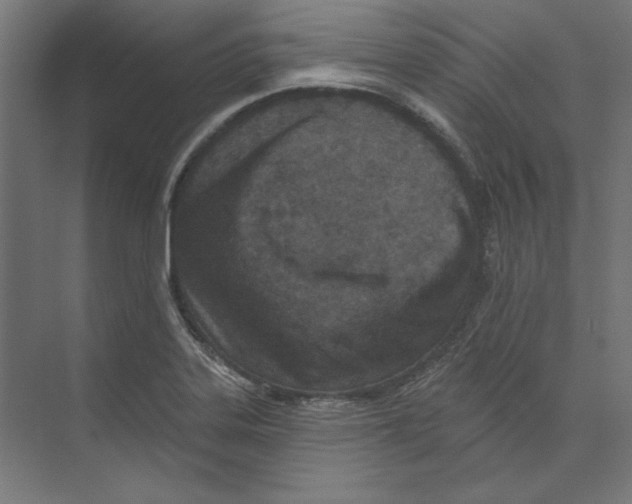 X0000073481323200608281539