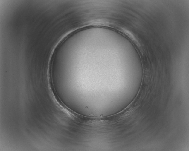 X0000073481331200608281539