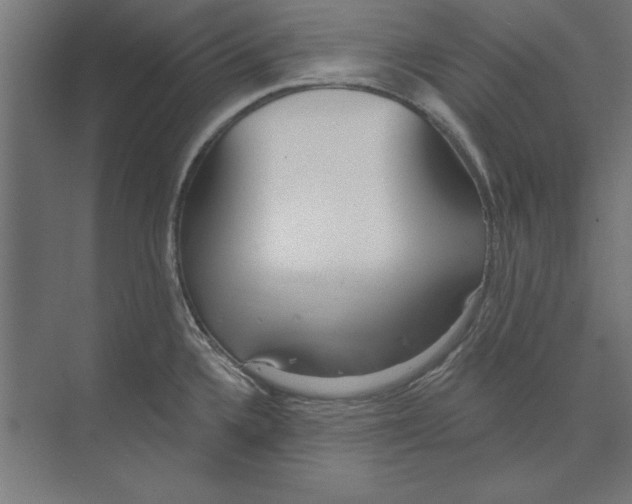 X0000073481336200608281539